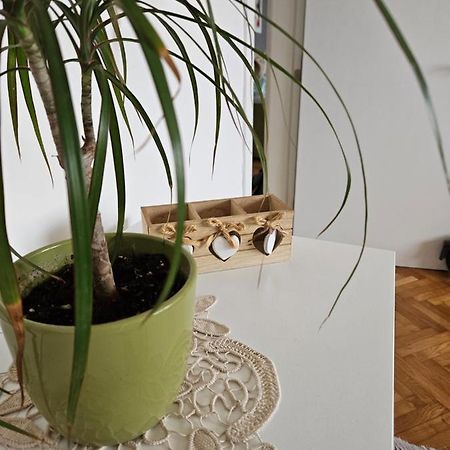 Cosy Apartment In The Heart Of Scopia Exterior foto